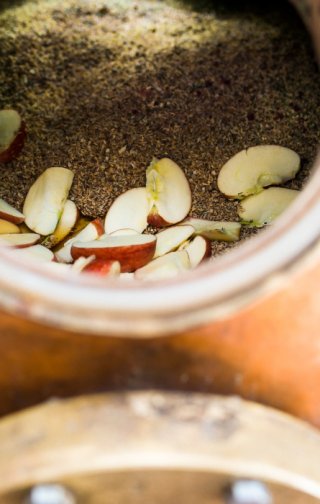 Botanicals dsc0157_c_hannesrohrer_hires.jpg